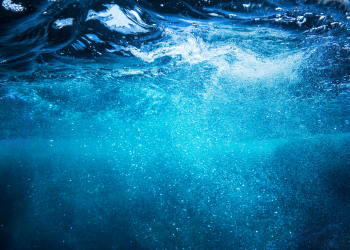 marine microbiomes