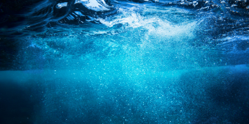 marine microbiomes