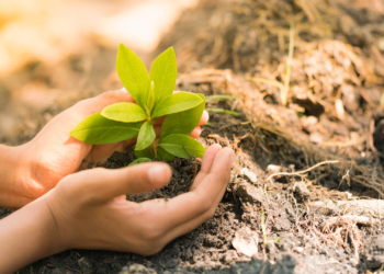 Nature-Based-Solutions-Educatio