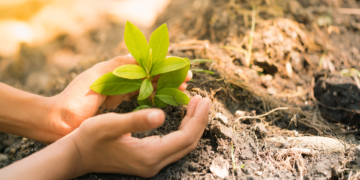 Nature-Based-Solutions-Educatio