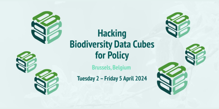 B-Cubed’s Publicity photo