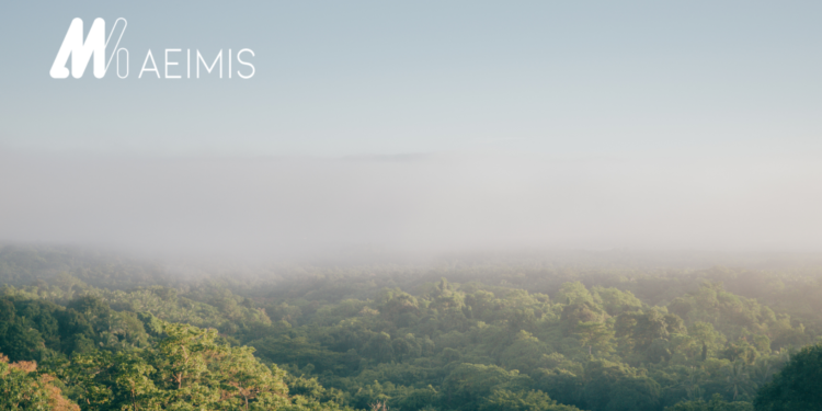 AEIMIS: A Spanish Non-Profit for Sustainability – Showcased in HAVEN and BIG LEAP Projects
