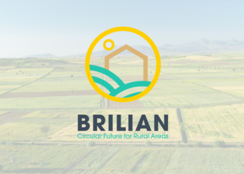 BRILIAN project