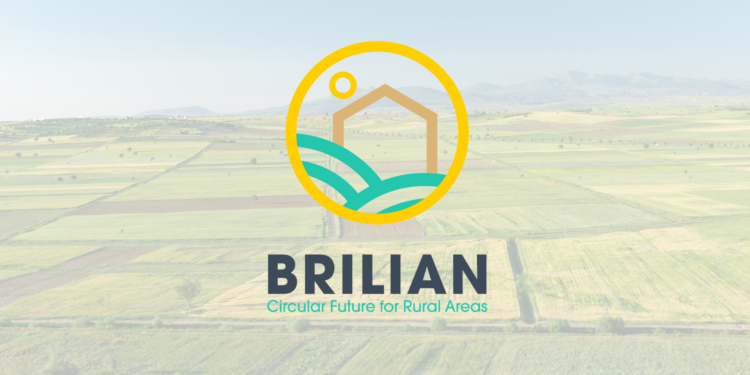 BRILIAN project