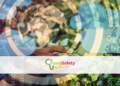 Food Safety in Africa
