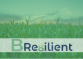 Project Bresilient