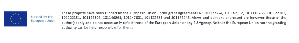 EU flag