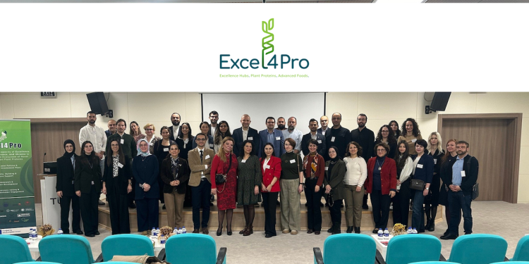 Strengthening the Capacity of Excellence Hubs of Türkiye, Greece, and Ukraine to Support Innovation Ecosystem of Novel Foods Based on Plant Proteins