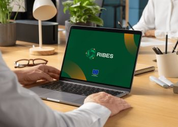 Website_Articles_Banner