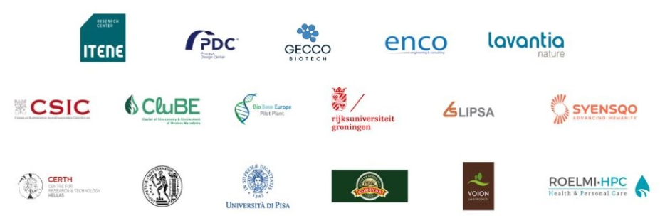 Flexizyme consortium