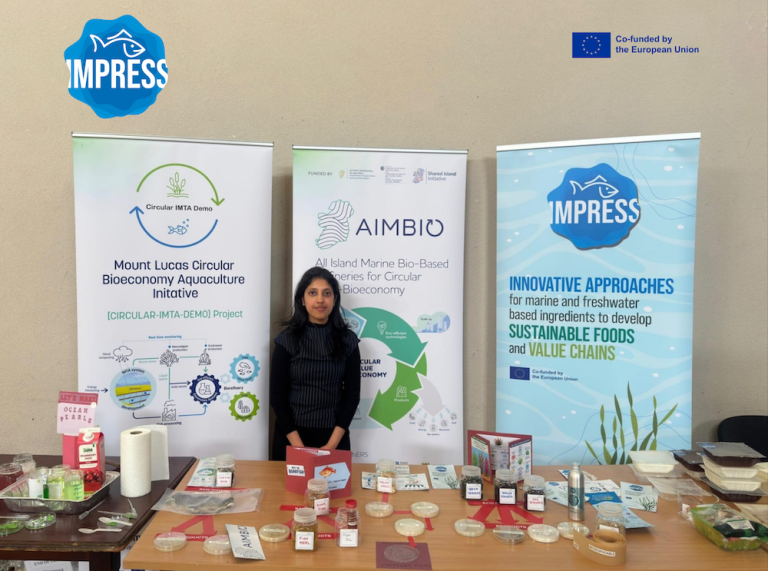 IMPRESS participates in Circus Science by the Sea in County Mayo