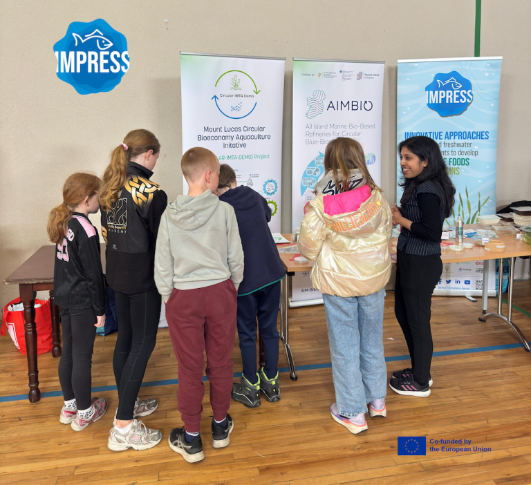 IMPRESS participates in Circus Science by the Sea in County Mayo
