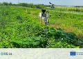 Increased soil water retention through sub-surface installed BioWAGs at the GEORGIA pilot site in Serbia