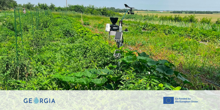 Increased soil water retention through sub-surface installed BioWAGs at the GEORGIA pilot site in Serbia
