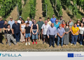 STELLA Press Release