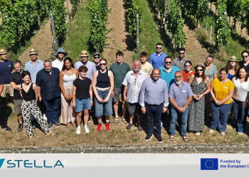 STELLA Press Release