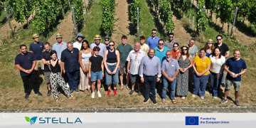 STELLA Press Release