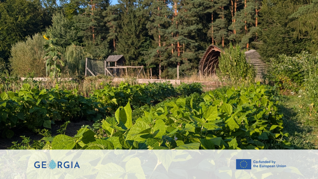 Treated waste water reuse in a Market garden at the GEORGIA pilot site in Austria